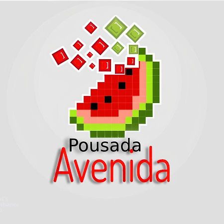 Pousada Avenida 泰谢拉迪弗雷塔斯 外观 照片